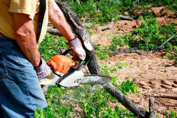 Best Commercial Tree Services  in Berkeley, MO